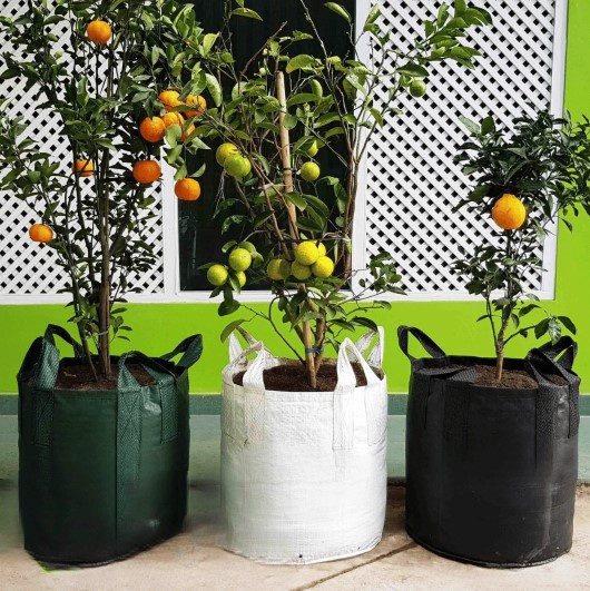 Planter Bag Supplies: A Comprehensive Guide to Elevate Your Gardening Experience