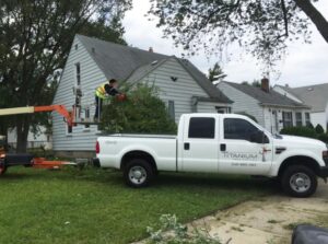 Tree Removal Timing: The Best Season to Safely Take Down a Tree